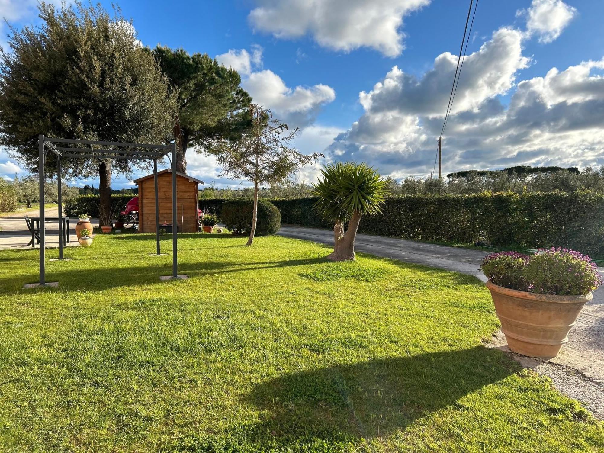 Agriturismo Da Michele E Carmela Di Voli Patrizia Villa Donoratico Buitenkant foto