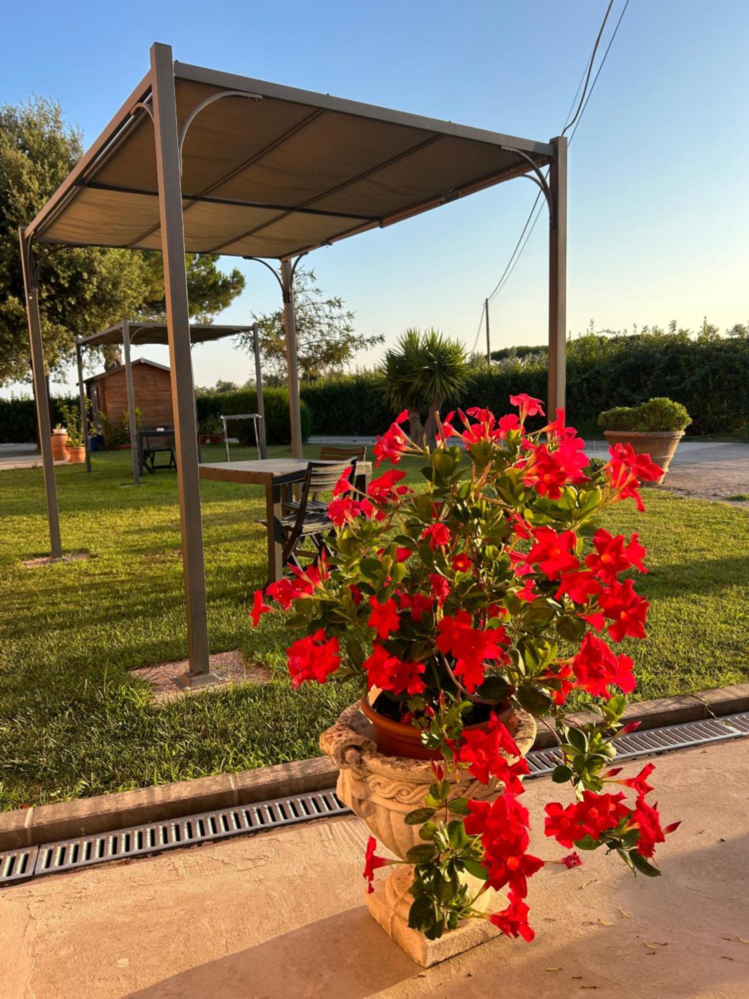 Agriturismo Da Michele E Carmela Di Voli Patrizia Donoratico Buitenkant foto